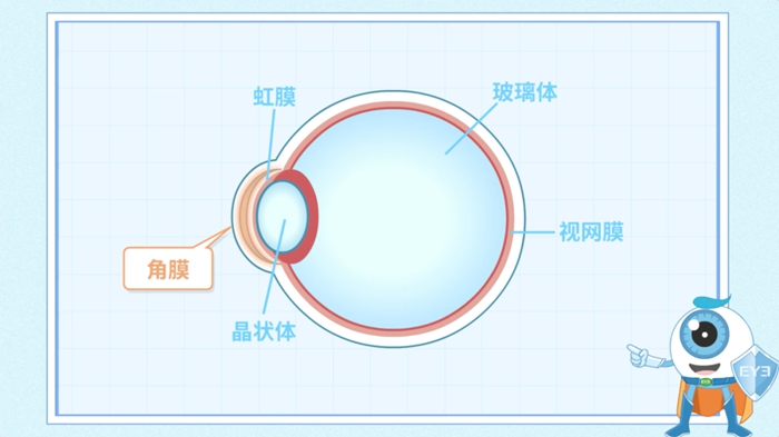 近视手术矫正视力示意图