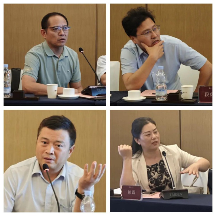 四位专家讨论现场照片