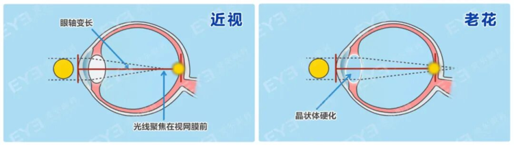 请在此处填写图片主题描述